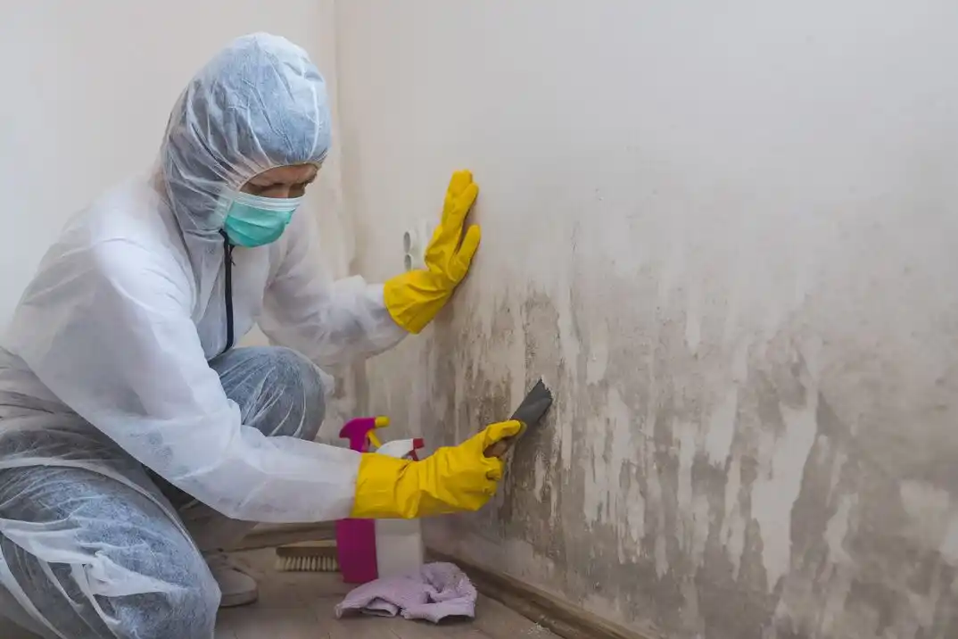 water damage restoration service Rolling Meadows